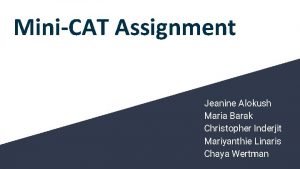 MiniCAT Assignment Jeanine Alokush Maria Barak Christopher Inderjit