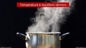 Temperatura e equilbrio trmico Miguel Neta maio de