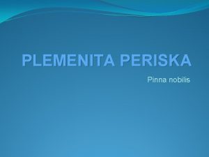 PLEMENITA PERISKA Pinna nobilis Neto o periski Periska