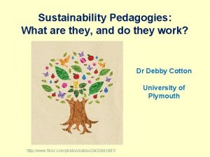 Sustainability Pedagogies What are they and do they