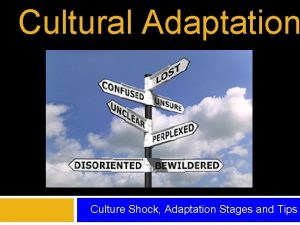 The stage of culture shock