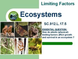 Limiting Factors Ecosystems SC 912 L 17 5