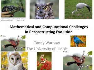 Mathematical and Computational Challenges in Reconstructing Evolution Tandy