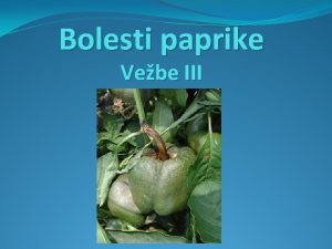 Bolesti paprike