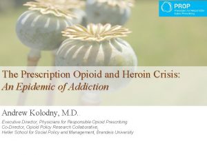 The Prescription Opioid and Heroin Crisis An Epidemic