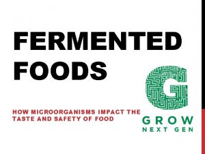 FERMENTED FOODS HOW MICROORGANISMS IMPACT THE TASTE AND