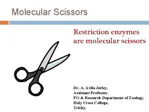 Molecular Scissors Restriction enzymes are molecular scissors Dr
