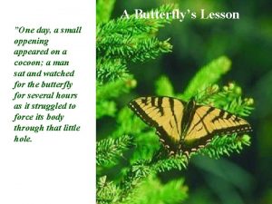 A Butterflys Lesson One day a small oppening