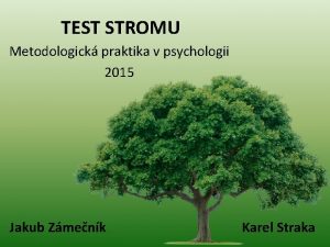 TEST STROMU Metodologick praktika v psychologii 2015 Jakub