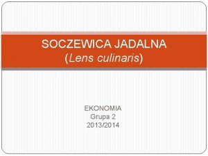 SOCZEWICA JADALNA Lens culinaris EKONOMIA Grupa 2 20132014