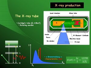 Xray production Lead chamber The Xray tube Glass