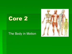 Core 2 The Body in Motion Focus question