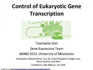 Control of Eukaryotic Gene Transcription Teachable Unit Gene