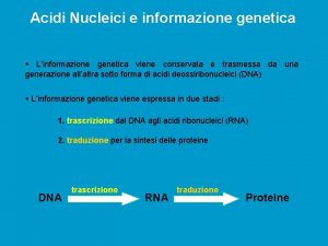 Acidi Nucleici e informazione genetica Linformazione genetica viene