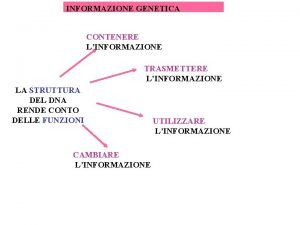 INFORMAZIONE GENETICA CONTENERE LINFORMAZIONE TRASMETTERE LINFORMAZIONE LA STRUTTURA