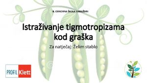 II OSNOVNA KOLA VARADIN Istraivanje tigmotropizama kod graka