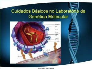 Cuidados Bsicos no Laboratrio de Gentica Molecular Cuidados