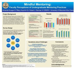 Mindful Mentoring Faculty Perceptions of Undergraduate Mentoring Practices