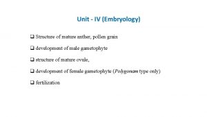 Unit IV Embryology q Structure of mature anther