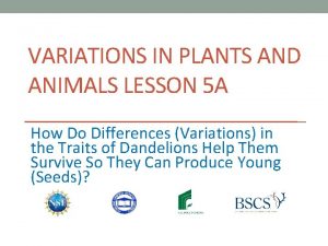 VARIATIONS IN PLANTS AND ANIMALS LESSON 5 A