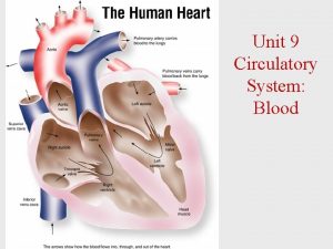 Unit 9 Circulatory System Blood CIRCULATORY SYSTEM Heart