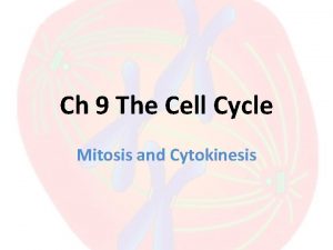 Ch 9 The Cell Cycle Mitosis and Cytokinesis