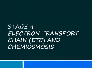 STAGE 4 ELECTRON TRANSPORT CHAIN ETC AND CHEMIOSMOSIS