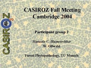 CASIROZ Fall Meeting Cambridge 2004 Participant group 2