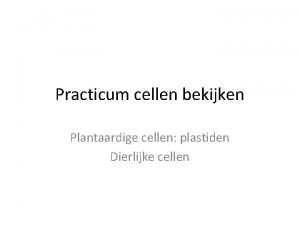 Practicum cellen bekijken Plantaardige cellen plastiden Dierlijke cellen