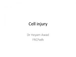 Cell injury Dr Heyam Awad FRCPath Causes of