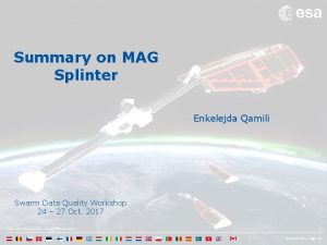 Summary on MAG Splinter Enkelejda Qamili Swarm Data