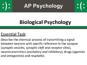 AP Psychology Biological Psychology Essential Task Describe the