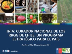 INIA CURADOR NACIONAL DE LOS RRGG DE CHILE