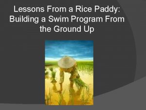 Lessons From a Rice Paddy Building a Swim