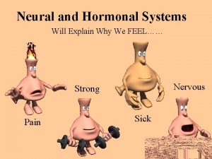 Neural and Hormonal Systems Will Explain Why We