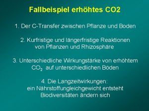 Fallbeispiel erhhtes CO 2 1 Der CTransfer zwischen