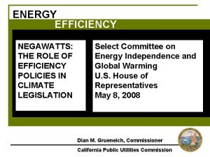 ENERGY EFFICIENCY NEGAWATTS Select Committee on THE ROLE