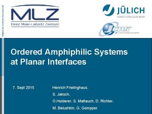 Mitglied der HelmholtzGemeinschaft Ordered Amphiphilic Systems at Planar