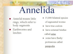 Annelida n n Annelid means little rings which