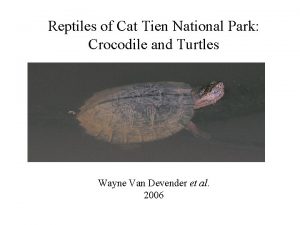 Reptiles of Cat Tien National Park Crocodile and