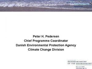 Peter H Pedersen Chief Programme Coordinator Danish Environmental