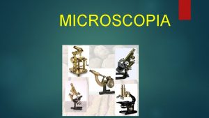 Microscopio de 1590