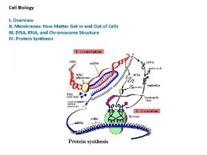 Cell Biology I Overview II Membranes How Matter