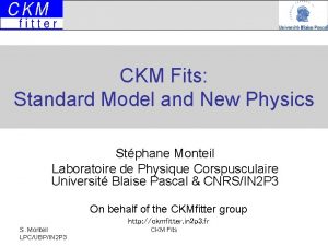 CKM Fits Standard Model and New Physics Stphane