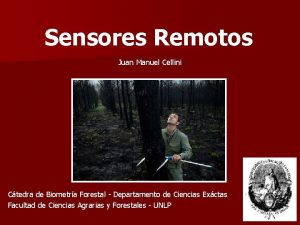 Sensores Remotos Juan Manuel Cellini Ctedra de Biometra