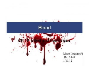 Blood Ch 19 Blood and Hemostasis Muse Lecture