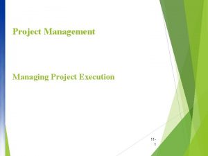 Direct and manage project execution