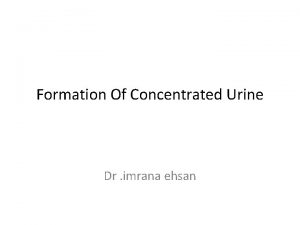 Formation Of Concentrated Urine Dr imrana ehsan OBLIGATORY