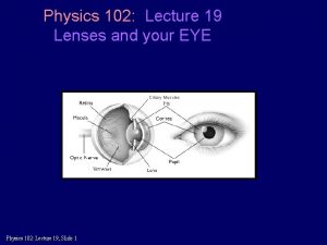 Physics 102 Lecture 19 Lenses and your EYE