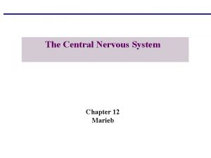 The Central Nervous System Chapter 12 Marieb Copyright